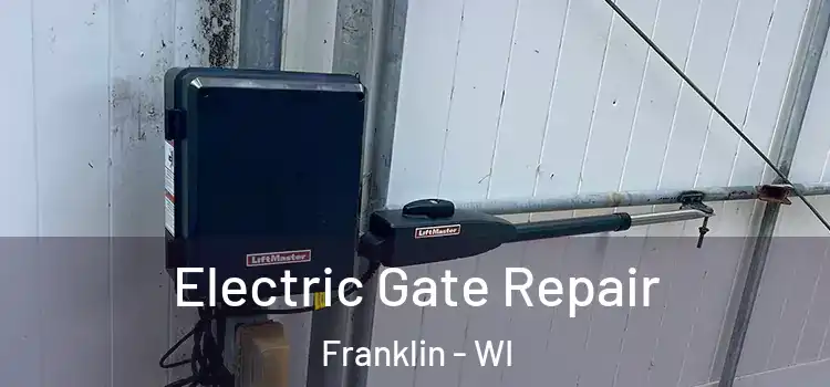  Electric Gate Repair Franklin - WI